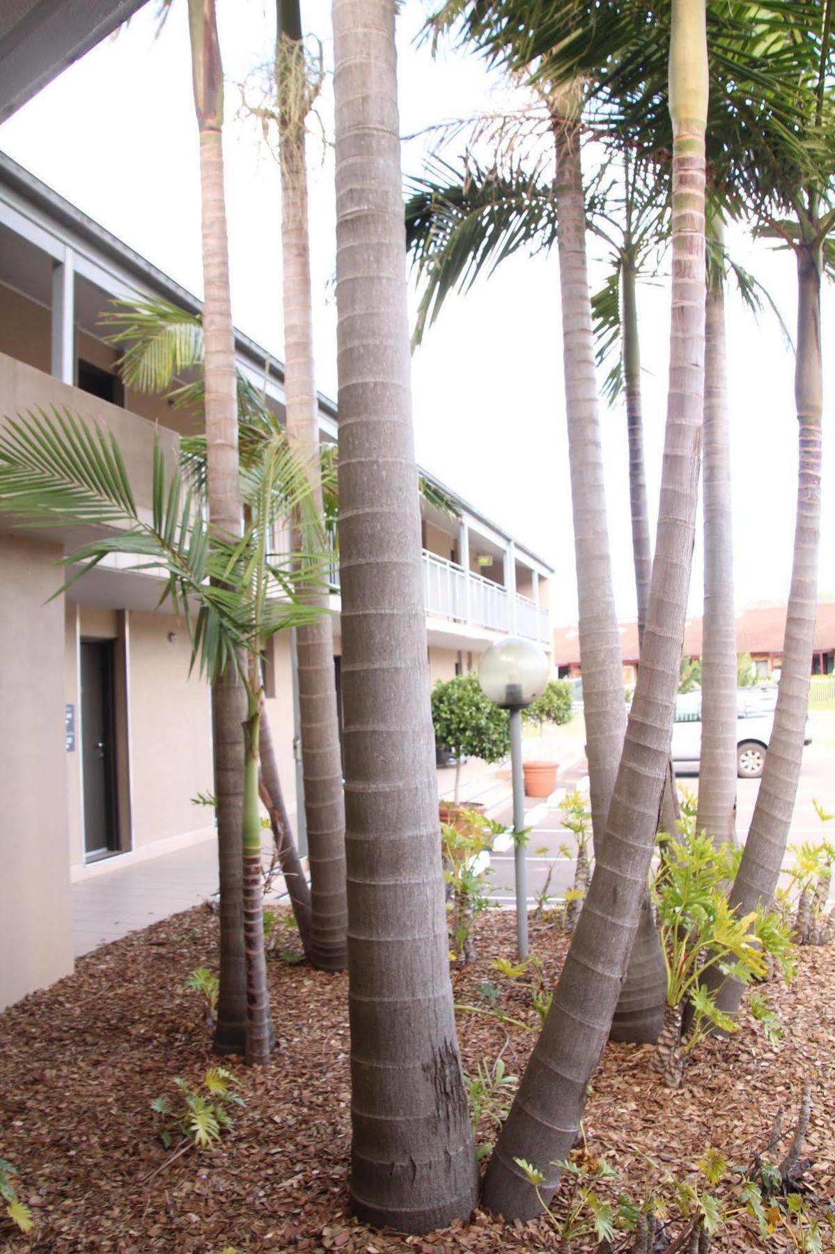 The Galaxy Motel Gosford Luaran gambar